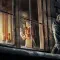 Dishonored 耻辱 [DLC 解锁] [DLC Unlock] [Steam] [Windows & SteamOS]