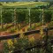 Farming Simulator 22 模拟农场 22 [DLC 解锁] [DLC Unlock] [Steam & Epic] [Windows & SteamOS & macOS]