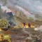 Sudden Strike 4 突袭 4 [DLC 解锁] [DLC Unlock] [Steam] [Windows & SteamOS & macOS]